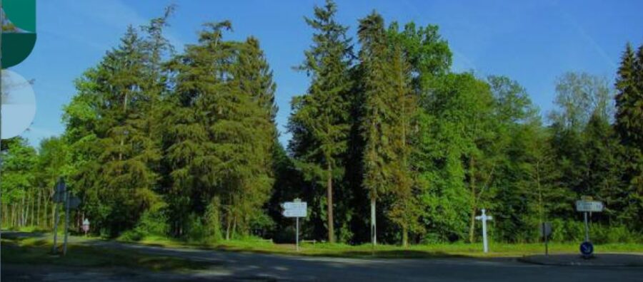 Fermeture de la route forestière du 20 juin au 24 juin 2022