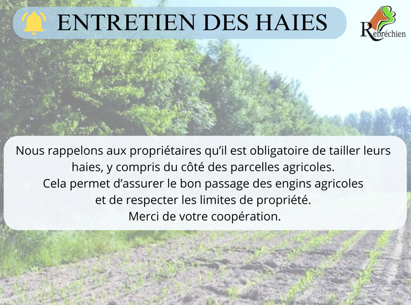 Entretien des haies sur parcelles agricoles