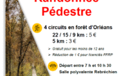 02 nov : randonnée pédestre - RCR