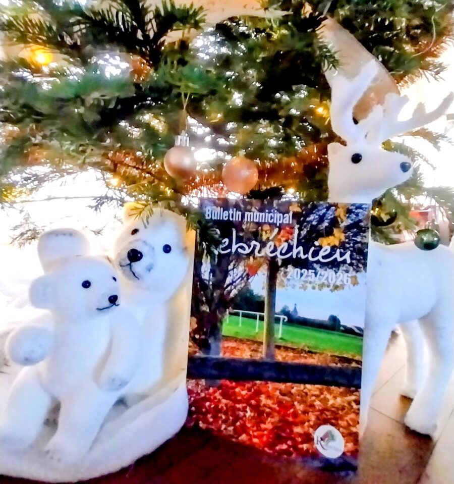 Le bulletin municipal 2026 est arrivé !