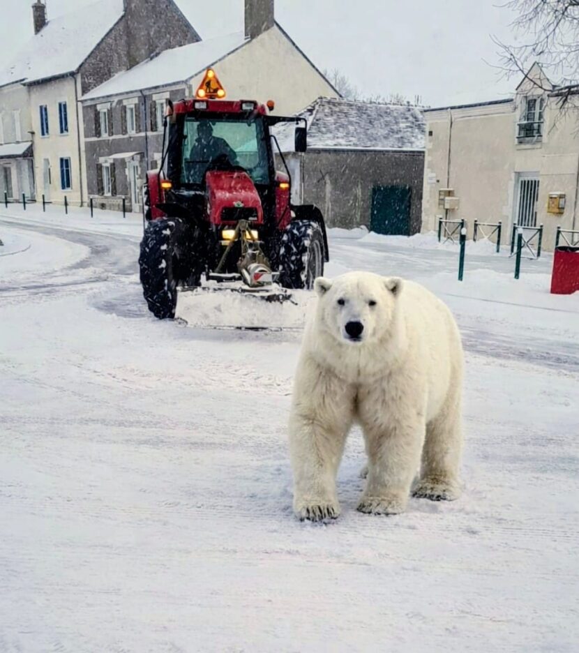 07 janv : Vigilance neige et verglas sur Rebréchien