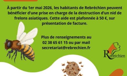 PARTICIPATION DE LA COMMUNE POUR LA DESTRUCTION DES NIDS DE FRELONS ASIATIQUE