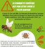 PARTICIPATION DE LA COMMUNE POUR LA DESTRUCTION DES NIDS DE FRELONS ASIATIQUE