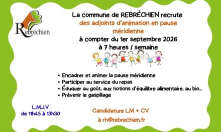 recrutement adjoints animation